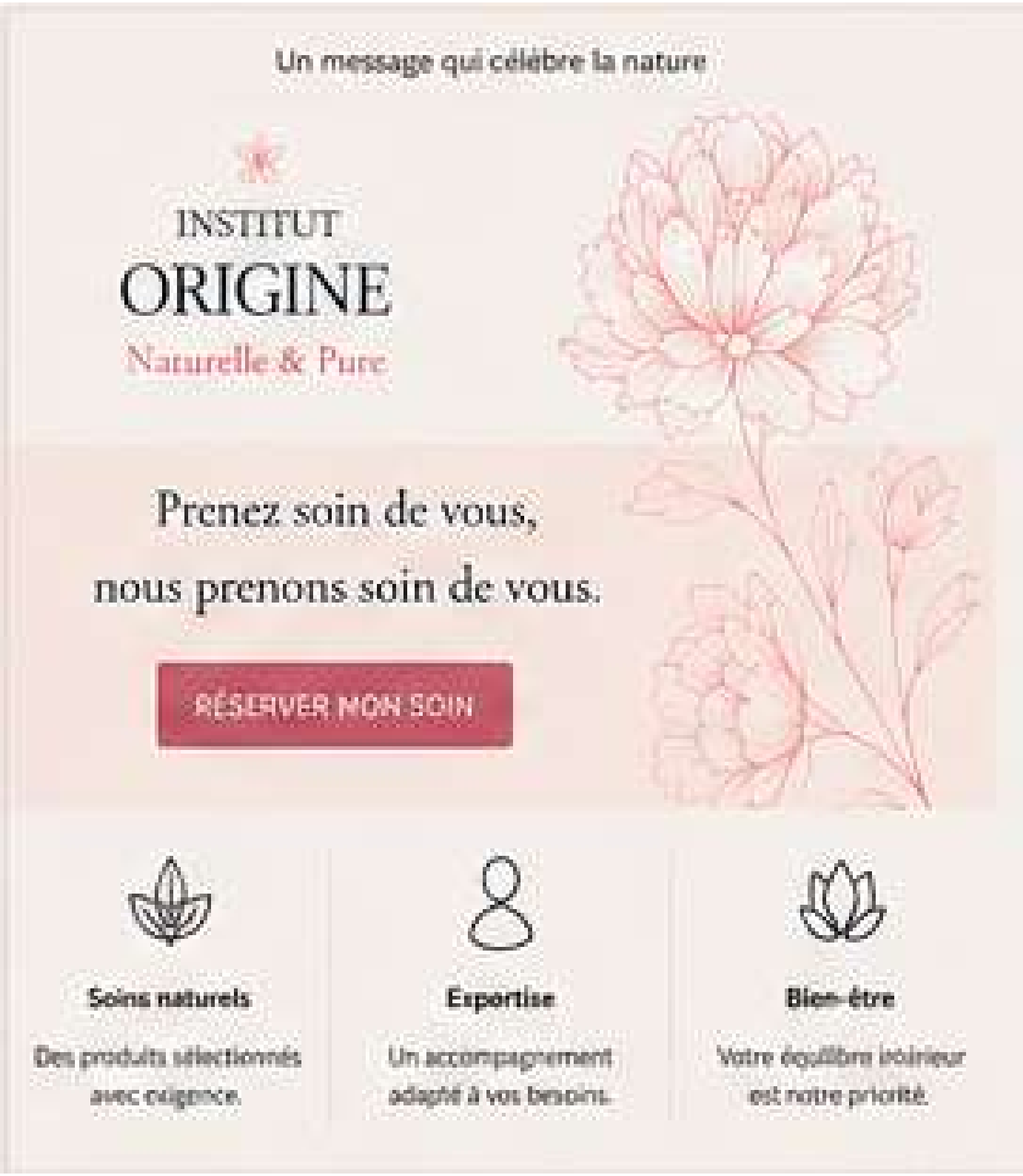 Institut Origine — Newsletter